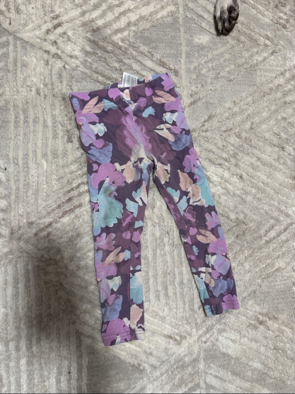 OshKosh B'gosh Purple Floral Multi Kids Leggings